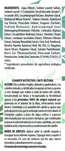 Algologie International Champú Suero Fitomarino, Nutritivo, Anti-Rotura con Proteínas - 300 ml