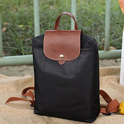 ALIKEEY Viajes De Ocio Cremallera De Nylon Bolsa Mochila Bolso Plegable Bolso De Hombro del Estudiante Marca Desigual Mochila