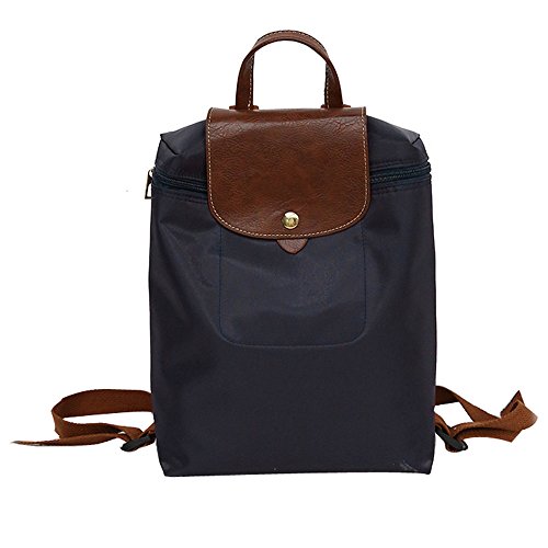 ALIKEEY Viajes De Ocio Cremallera De Nylon Bolsa Mochila Bolso Plegable Bolso De Hombro del Estudiante Marca Desigual Mochila