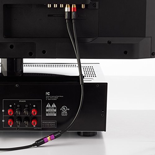 AmazonBasics - Adaptador RCA en Y (2 machos a 1 hembra), 30,5 cm