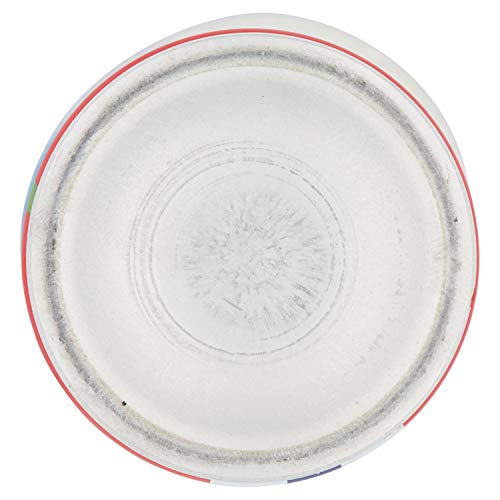 Ambi Pur Flores Elegantes Ambientador Spray de 300 ml