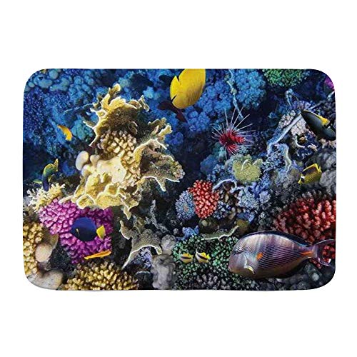 Amknu Alfombrillas para baño, Océano Colorido Arrecife de Coral y Peces Colonia Mar Vida submarina,con Respaldo Antideslizante,29.5"X17.5"