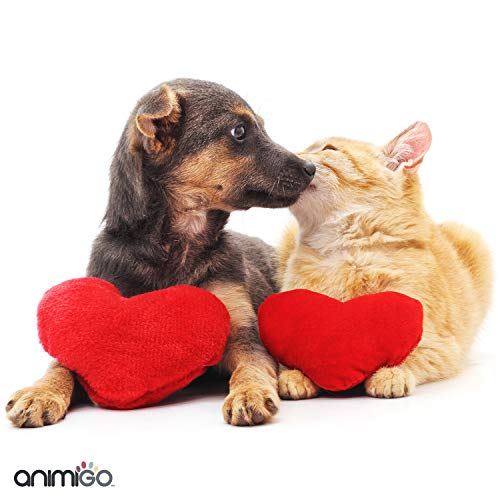 Animigo Corazón Saludable de Gatos y Perros | Suplemento Natural Cardiovascular | Salud del Corazón y Bienestar General de Mascotas | con Vitaminas, Co Q10, L-Carnitina y Taurina | 90 Cápsulas