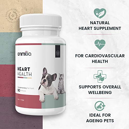 Animigo Corazón Saludable de Gatos y Perros | Suplemento Natural Cardiovascular | Salud del Corazón y Bienestar General de Mascotas | con Vitaminas, Co Q10, L-Carnitina y Taurina | 90 Cápsulas