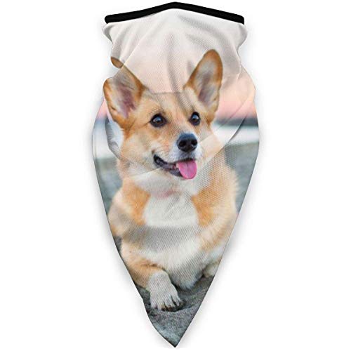 Anqi-Shop Cute Corgi Outdoor Face Mouth Mask Mascarilla Deportiva a Prueba de Viento Máscara de esquí Shield Scarf Bandana Hombres Mujer