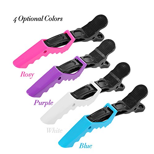 Anself - Pinzas Clips de Cabello de Peluquería (10 Piezas Per Set)