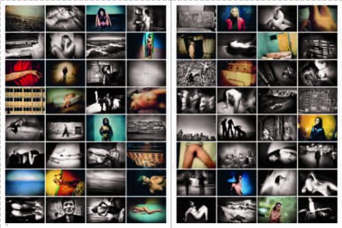 Antoine d'Agata Antibodies /Anglais