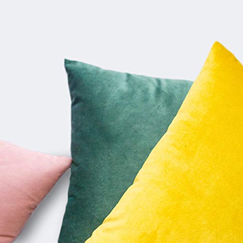 AQGELBZ Nordic Hug Pillowcase Square Velvet Cushion Sofa Living Room Cushion Pillow@Fragrant Yellow_30*50 Pillowcase Without Core