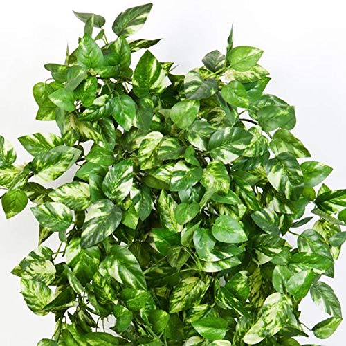 artplants.de Set 'Guinalda de potos Falsa + Spray de protección UV' - Liana de potus sintética RAHU, en Vara de fijación, Verde, 55cm