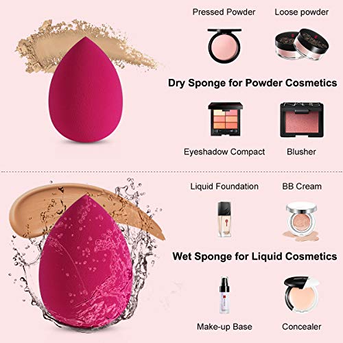 ARVOK Makeup Blender Esponjas de maquillaje de belleza, 6 piezas de esponjas de base sin látex para cosméticos líquidos/en polvo/en crema. con estuche de viaje transparente de 6 piezas (Opción 1)
