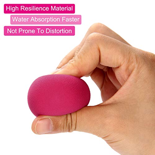 ARVOK Makeup Blender Esponjas de maquillaje de belleza, 6 piezas de esponjas de base sin látex para cosméticos líquidos/en polvo/en crema. con estuche de viaje transparente de 6 piezas (Opción 1)