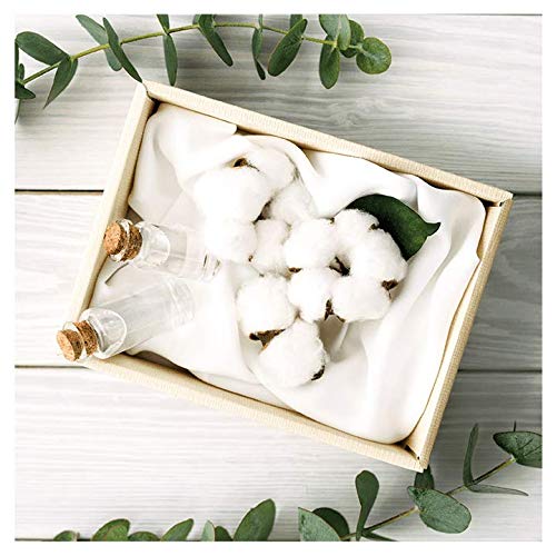 Ausonia Cotton Protection Noche (tamaño 3) Compresas Con Alas, 9, Capa Superior De Algodón 100 % Orgánico