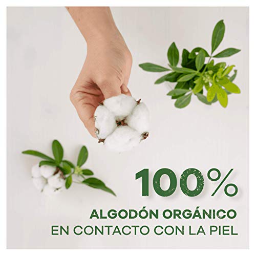 Ausonia Cotton Protection Noche (tamaño 3) Compresas Con Alas, 9, Capa Superior De Algodón 100 % Orgánico