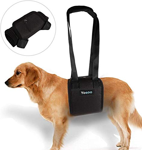 ayuda a perro con debilidad en las patas frontales o traseras, para ayudarlos a pararse, paseo, entrar en coches, subir escaleras, mascotas heridas, ancianas.