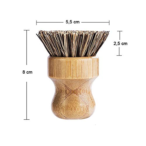 BAMBUMI - Cepillo para fregar sin plástico con mango de bambú y cerdas naturales (Union), producto 100% natural, 2 unidades