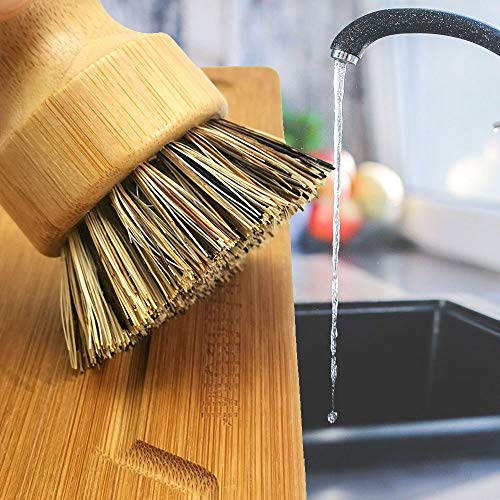 BAMBUMI - Cepillo para fregar sin plástico con mango de bambú y cerdas naturales (Union), producto 100% natural, 2 unidades