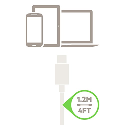 Belkin - Cargador para Coche USB-C de 27 W / 3 A con Cable de USB-C a USB-C de 1,2 m (USB-C PD, Carga MacBook Pro, Galaxy S9/S9+, Galaxy Note 8.0 y Muchos Otros) Negro