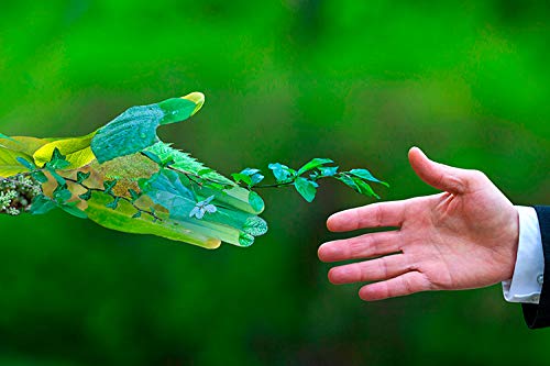 BiOHY Jabón líquido (Bote de 10 litros) | Jabón líquido para manos inodoro, agradable a la piel y reengrasante | Sin perfume ni colorantes (Flüssig Seife)