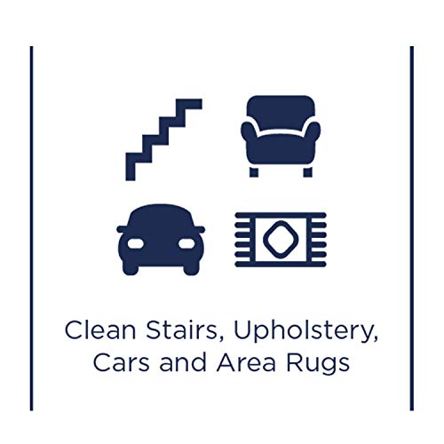 Bissell Wash And Protect Formula Quitamanchas En Alfombras, 1.5 Liters