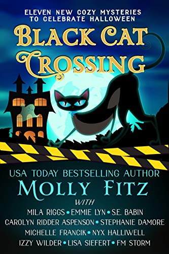 Black Cat Crossing: A Collection of 11 Cozy Mysteries to Celebrate Halloween (English Edition)