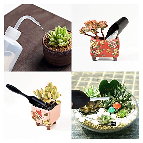 BlueMake 15 piezas de herramientas de plantas suculentas, mini jardín de trasplante manual Herramientas suculentas Plantación en miniatura