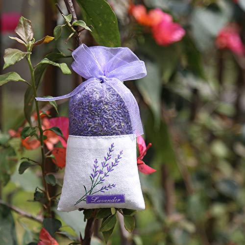 Bolsa de Lavanda Vacía, 20 Piezas Bolsita de Lavanda con Cordón Bolsa de Perfume púrpura vacía Bolsa de Lavanda Bolsas de Algodón Lavanda para Lavanda Especias y Hierbas (Violeta Claro)