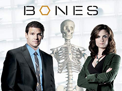 Bones - Season 1