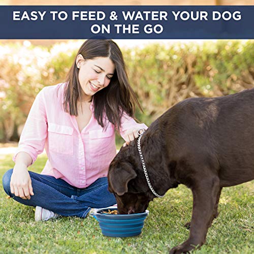 Bonza Tazón Comedero Plegable grande para perros medianos y grandes, Portable Comedero o bebedero. Ligero, resistente, a prueba de fugas, alimentos seguros. Comedero para viajes con mascotas de