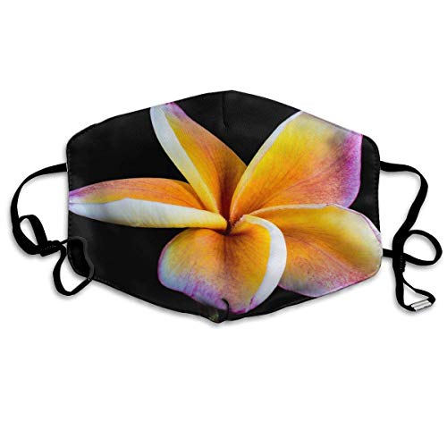 Bufanda de Cara Decoración Facial Blossom Bloom Flower Personalized Scarf Windproof Warm Scarf Waterproof Scarf Can Be Reused When Going Out-194