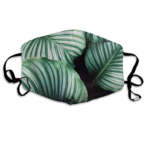 Bufanda de Cara Decoración Facial Green Leaf Bucket Cap Personalized Scarf Windproof Warm Scarf Waterproof Scarf Can Be Reused When Going out