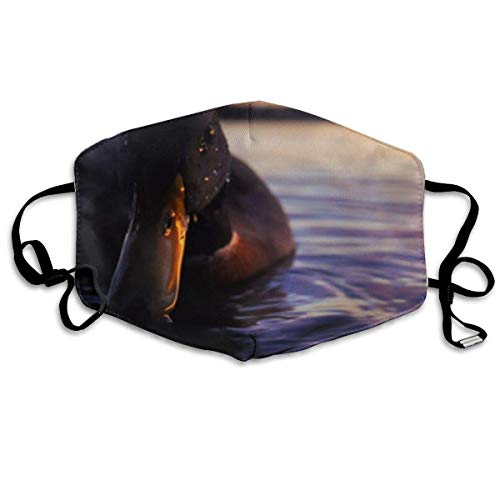 Bufanda de Cara Decoración Facial Personalized Scarf Windproof Warm Scarf Waterproof Scarf Can Be Reused When Going out Washable Reusable Unisex Soft and Comfortable For Men and Women Customized-JQ