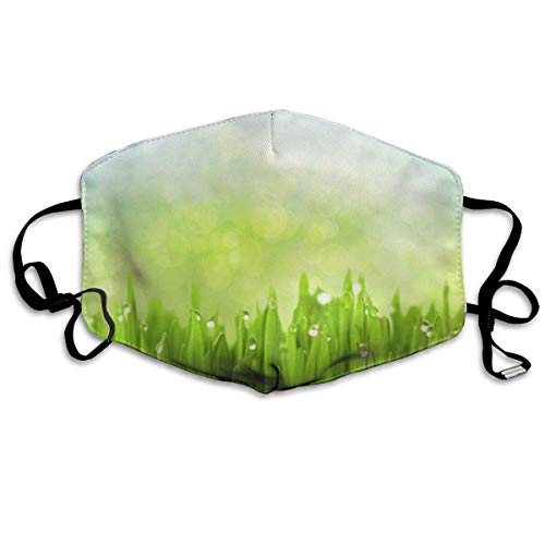 Bufanda de Cara Decoración Facial Water Droplets On The Grass Personalized Scarf Windproof Warm Scarf Waterproof Scarf Can Be Reused When Going out