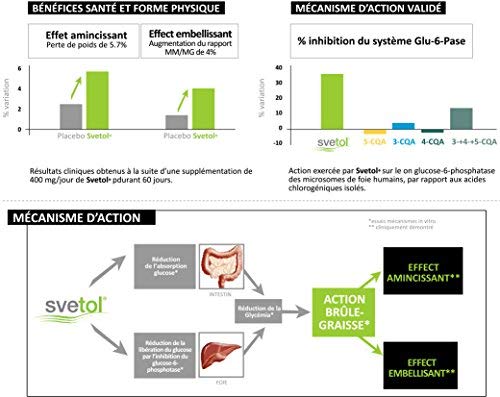 CAFÉ VERDE (SVETOL) + TÉ VERDE * OFERTA 3+1 GRATIS * 400 mg / 240 cápsulas * Peso (adelgazamiento, equilibrio alimentario) * Garantía de satisfacción o reembolso * Fabricado en Francia