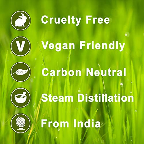 Calmer Solutions Palmarosa 100% Puro Esencial Aceite De Aromaterapia 30ml