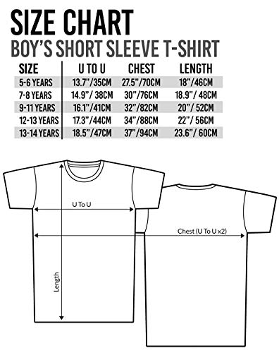 Camiseta de manga corta para hombre con diseño de S.T.A.R. Laboratories (The Flash) negro negro