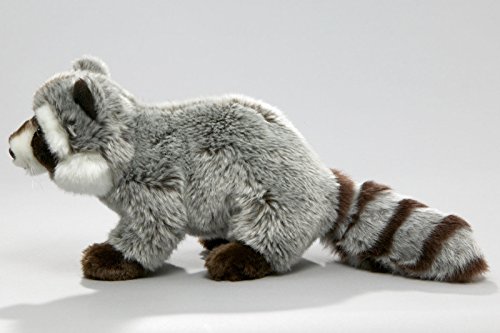 Carl Dick Peluche - Mapache (Felpa, 25cm, 37cm con Cola) 2409