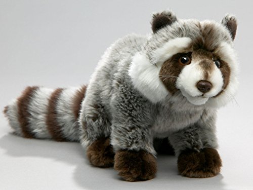 Carl Dick Peluche - Mapache (Felpa, 25cm, 37cm con Cola) 2409