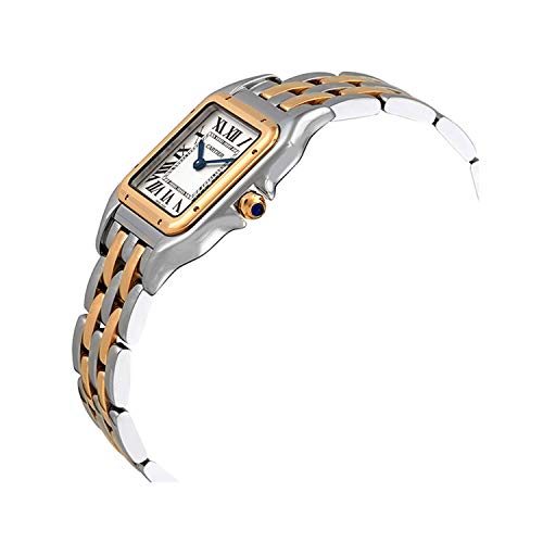 Cartier Panthere de Cartier W2PN0007 - Reloj para Mujer