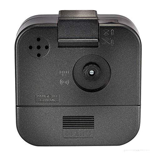 Casio TQ-141-1- Reloj despertador analógico, color negro