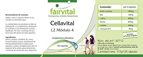 Cellavital - Dosis elevada - 120 Cápsulas - Antioxidantes en complejo con acetil-L-carnitina, taurina, Q10 y más - Calidad Alemana