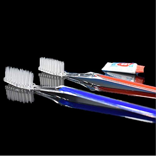 Cepillos de dientes desechables con pasta de dientes (5 colores surtidos)