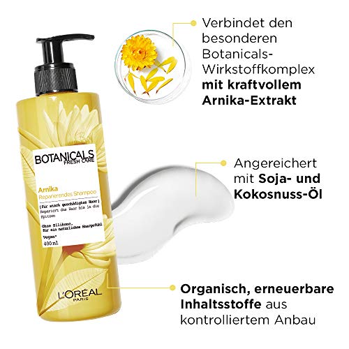 Champú reparador L'Oréal Paris Botanicals Fresh Care Arnika, paquete de 1 unidad (1 x 400 ml)