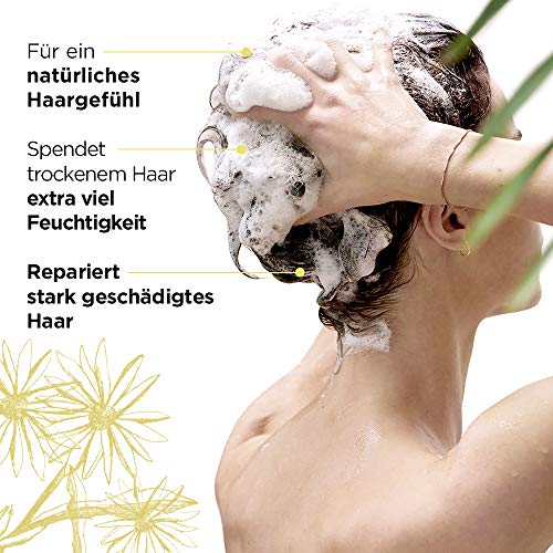 Champú reparador L'Oréal Paris Botanicals Fresh Care Arnika, paquete de 1 unidad (1 x 400 ml)