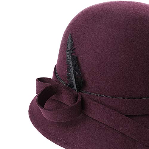 ChangDe SOHP Sombrero, otoño e Invierno Femenina pequeña Fragancia Damas británicas Sombrero de Plumas Retro Sombrero de Fieltro Pescador Sombrero, Free Size señora Sombrero del Invierno (Color : C)