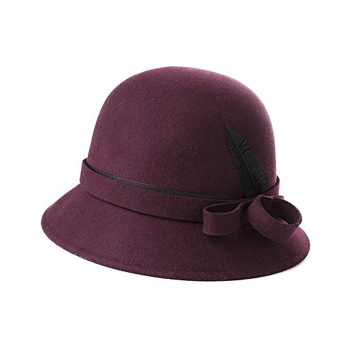ChangDe SOHP Sombrero, otoño e Invierno Femenina pequeña Fragancia Damas británicas Sombrero de Plumas Retro Sombrero de Fieltro Pescador Sombrero, Free Size señora Sombrero del Invierno (Color : C)