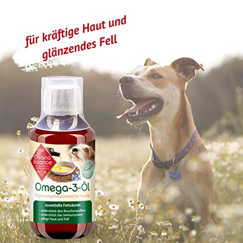 ChronoBalance Omega-3 Aceite para Perros, complemento alimenticio para articulaciones, Cuidado del Pelo, antiinflamatorio, Aceite de linaza, Aceite de salmón