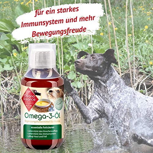 ChronoBalance Omega-3 Aceite para Perros, complemento alimenticio para articulaciones, Cuidado del Pelo, antiinflamatorio, Aceite de linaza, Aceite de salmón