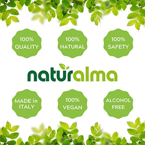 COLA DE CABALLO (Equisetum arvense) hierba Tintura Madre sin alcohol NATURALMA | Extracto líquido gotas 100 ml | Complemento alimenticio | Vegano