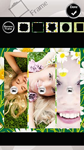 Collage de la foto de la manzanilla