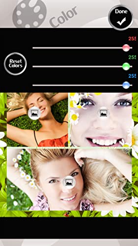 Collage de la foto de la manzanilla